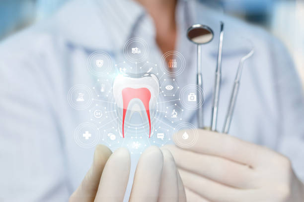 Trusted The Pinehills, MA Dental Services Experts